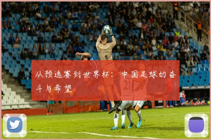 从预选赛到世界杯：中国足球的奋斗与希望