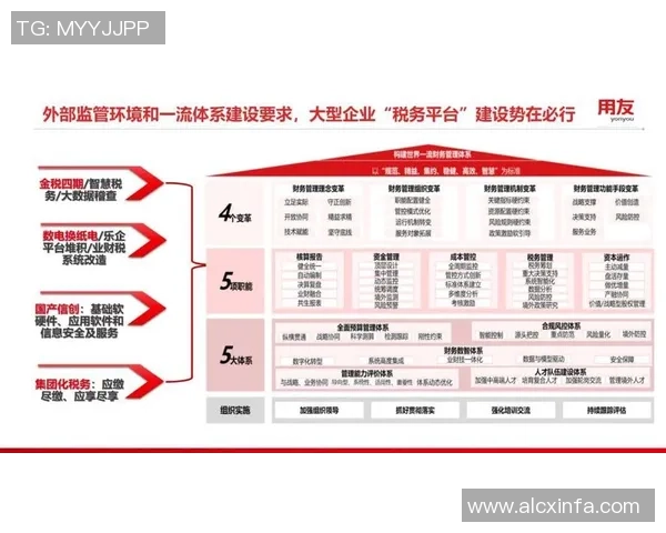 武汉篮球队的全面转型与创新之路探讨 武汉篮球队的全面转型与创新之路探讨