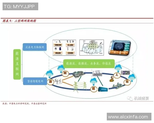 武汉网球队的控制策略与发展趋势深度解析